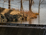 April in Connecticut