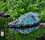 June at West Hartford Reservoir