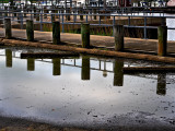 reflections in a puddle