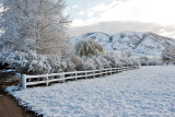 3412 April Snow.jpg