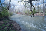3489 River.jpg