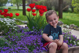 3518 Cannon in flowers.jpg