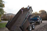 4035 Ruby and Daisy in trailer.jpg