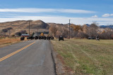 4075 Running of the bulls.jpg