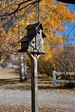 4116 Bird house.jpg