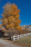 4117 Foliage.jpg
