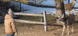 0149 Deer Dave.jpg