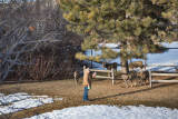 0153 Deer Dave.jpg
