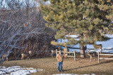 0166 Deer Dave.jpg