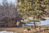 0180 Deer Dave.jpg