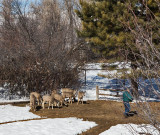 0472 deer and dave.jpg