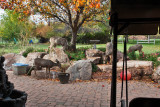 4795_Deer_2018.jpg