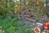 4677_Fire_Wood.jpg