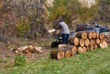4787_Firewood.jpg