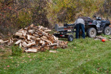 4788_Firewood.jpg
