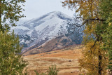 4884_Autumn_meets_Winter.jpg