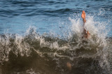 The Wave