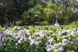 Details of the Newport Mansions