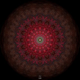 Formality_aromel6418a_Black Chokeberry