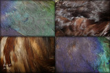 Feather Tapestry original