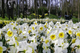Parc de Keukenhof