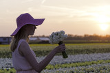 Parmi les fleurs