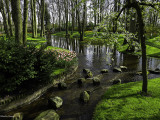 Parc de Keukenhof