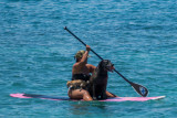 P0714 Meeting Friend Kona Style
