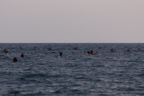 C5511 Outrigger race