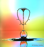 Water Drop & Splash Gallery