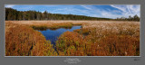Cottongrass Bog 5 760.jpg