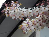 February March