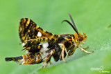 My best macro