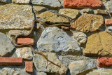 Rettili- Reptilia - Reptiles