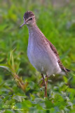 DSC_494210.jpg