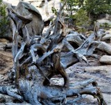 Sculpture at Gem Lake