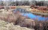 Contributing to Platte River