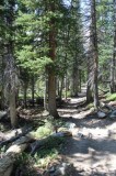 Paths, Trails, Even Roads