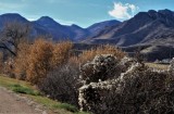 Highline Canal Trail