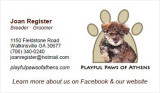 Playful Paws of Athens