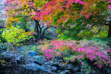 South Korea