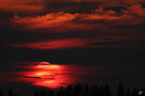 IMG_7771-f.jpg