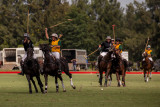Ladies International Polo Cup - Australia Vs New Zealand