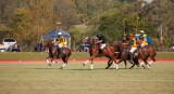 Men's International - Australia Vs New Zealand