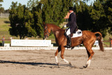 Dressage
