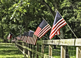 4th of July flag display