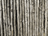 An Architectural Stroll (A Gallery)