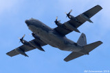 1IMG_4957 copy.jpg