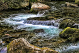Smoky Mountain Memories