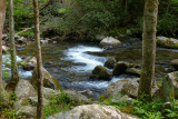 Smoky Mountain Memories